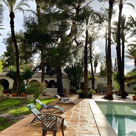 Pink Lemon House Bed and Breakfast Elche Eksteriør billede