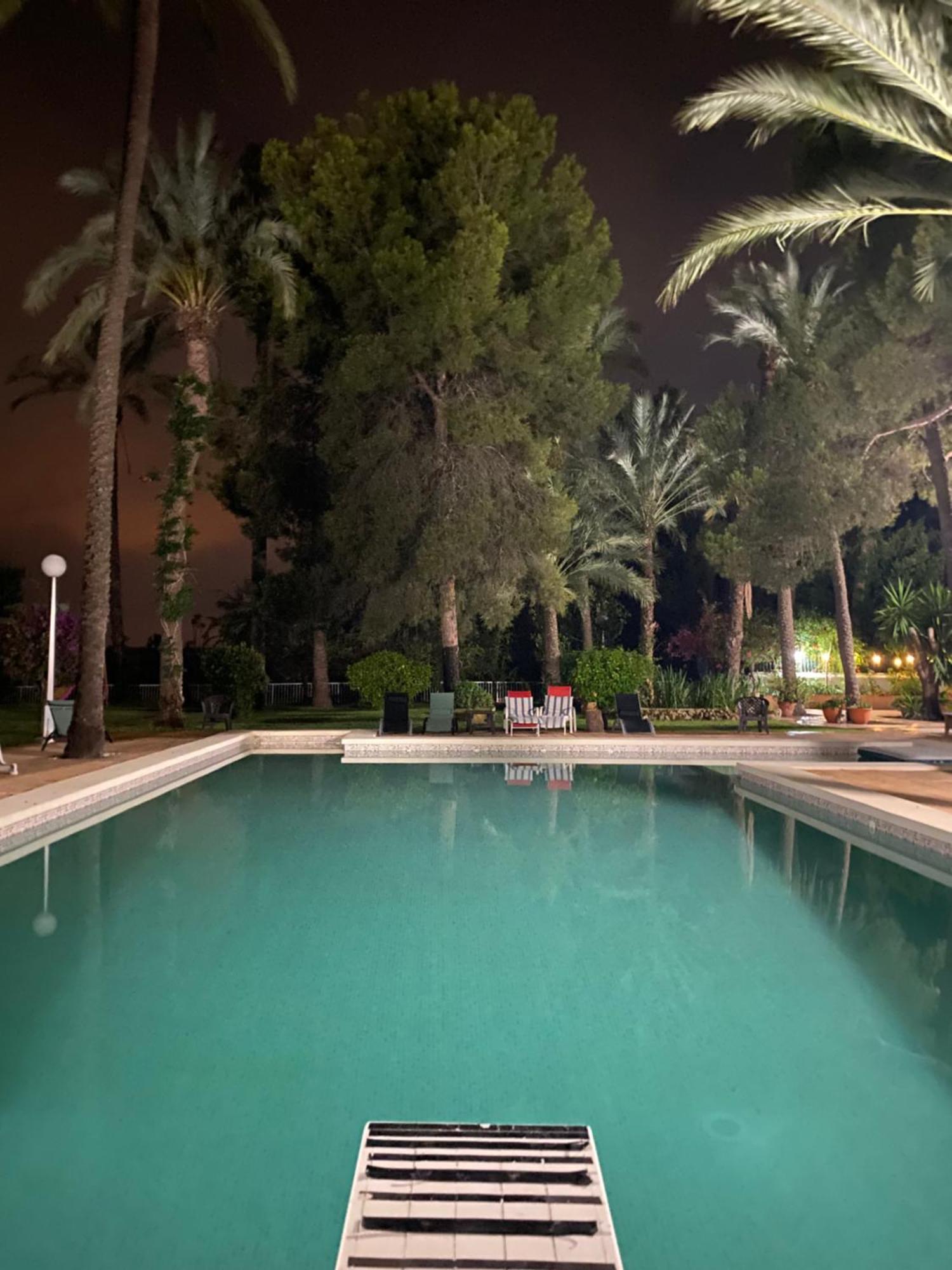Pink Lemon House Bed and Breakfast Elche Eksteriør billede