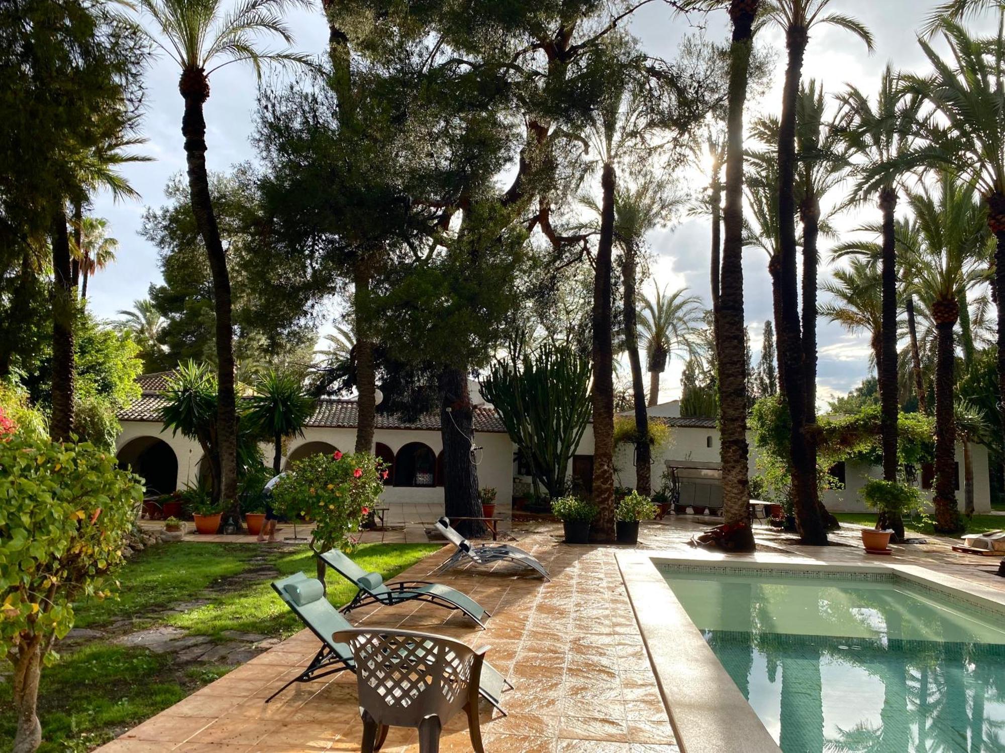 Pink Lemon House Bed and Breakfast Elche Eksteriør billede