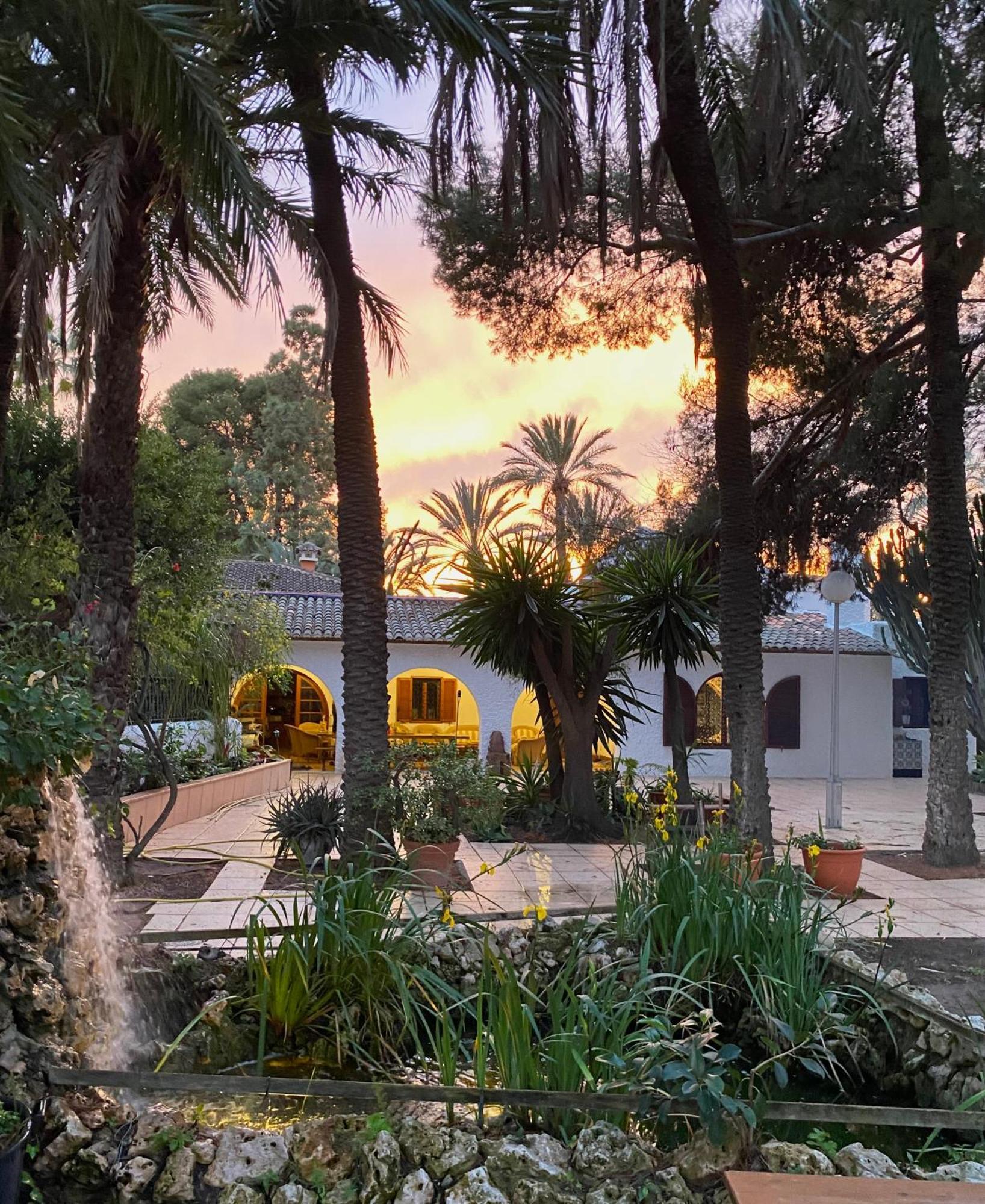Pink Lemon House Bed and Breakfast Elche Eksteriør billede