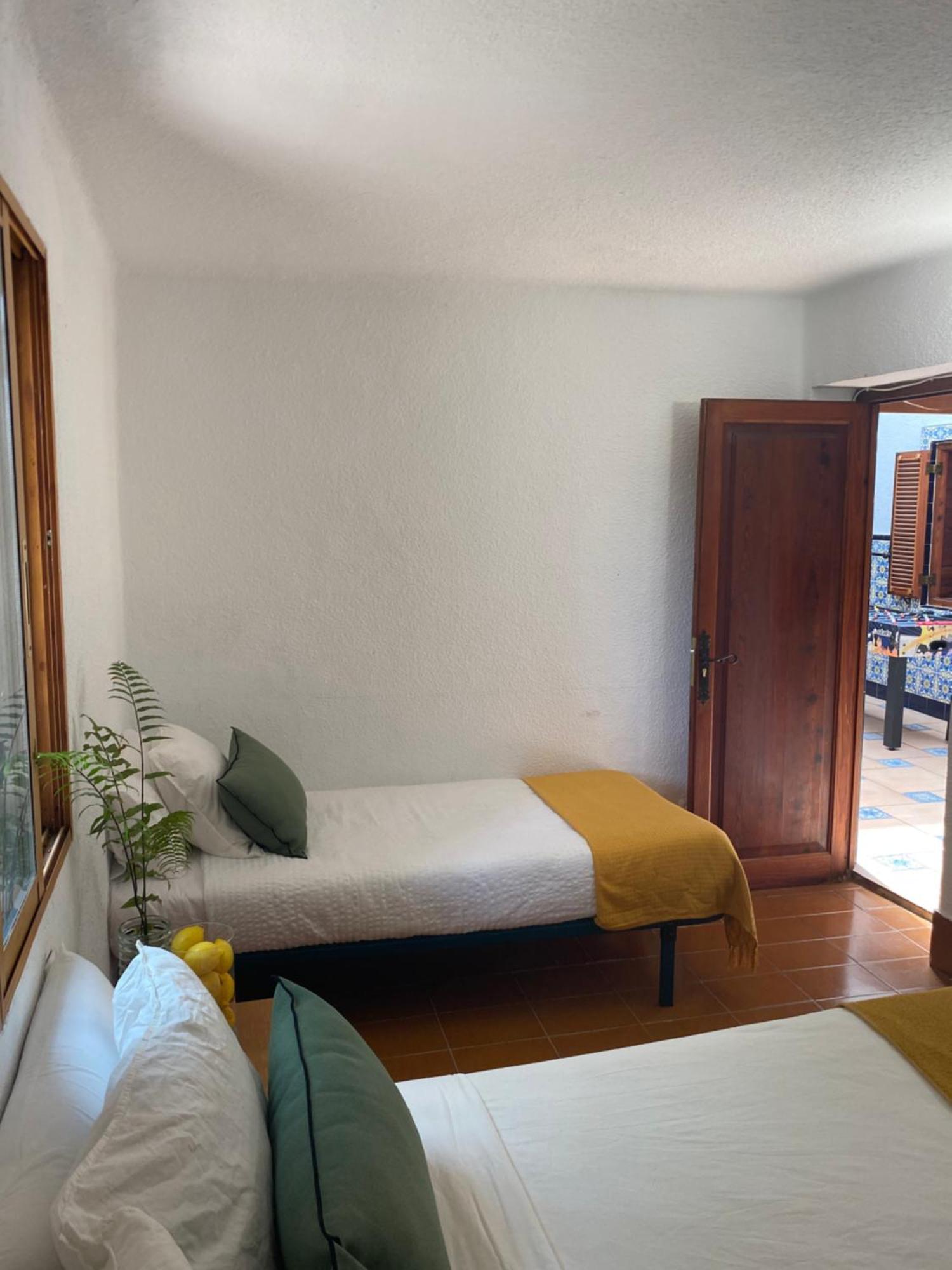 Pink Lemon House Bed and Breakfast Elche Eksteriør billede
