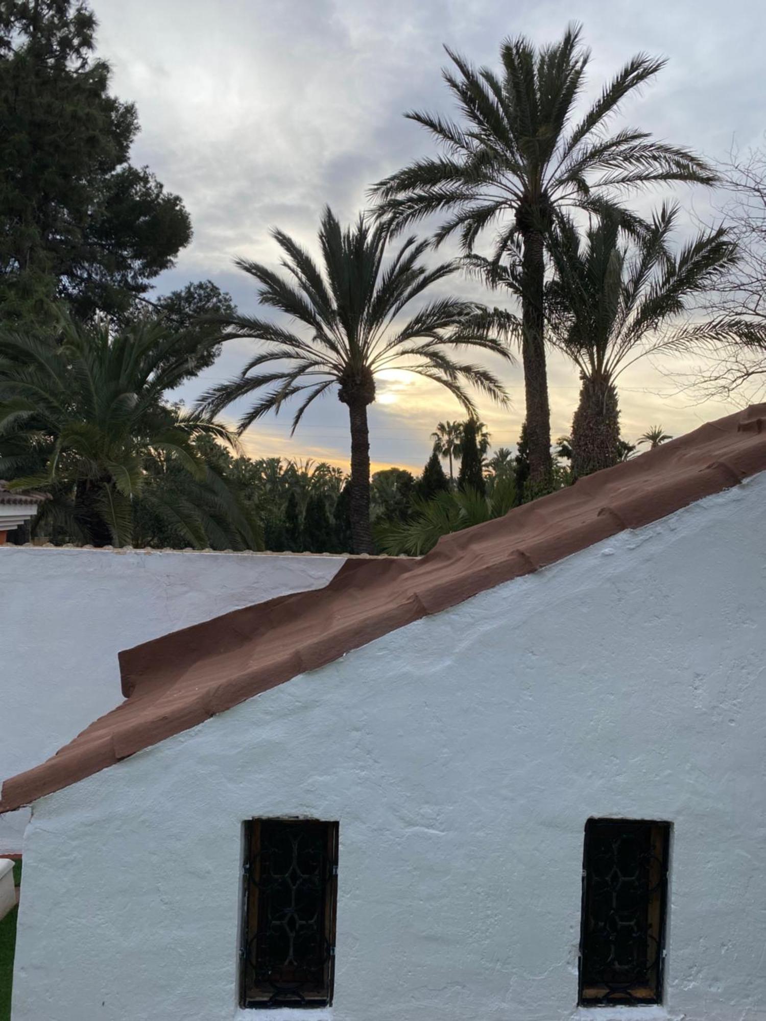 Pink Lemon House Bed and Breakfast Elche Eksteriør billede