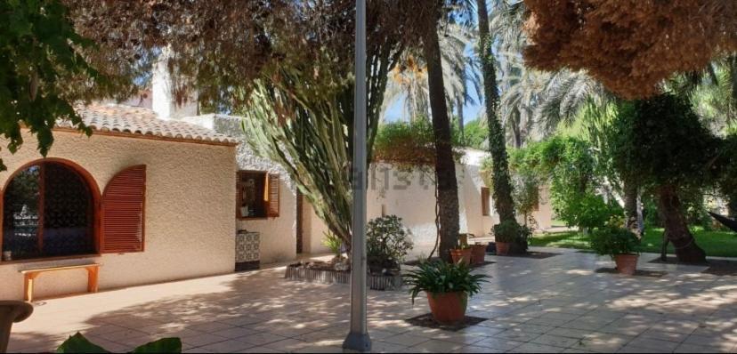 Pink Lemon House Bed and Breakfast Elche Eksteriør billede