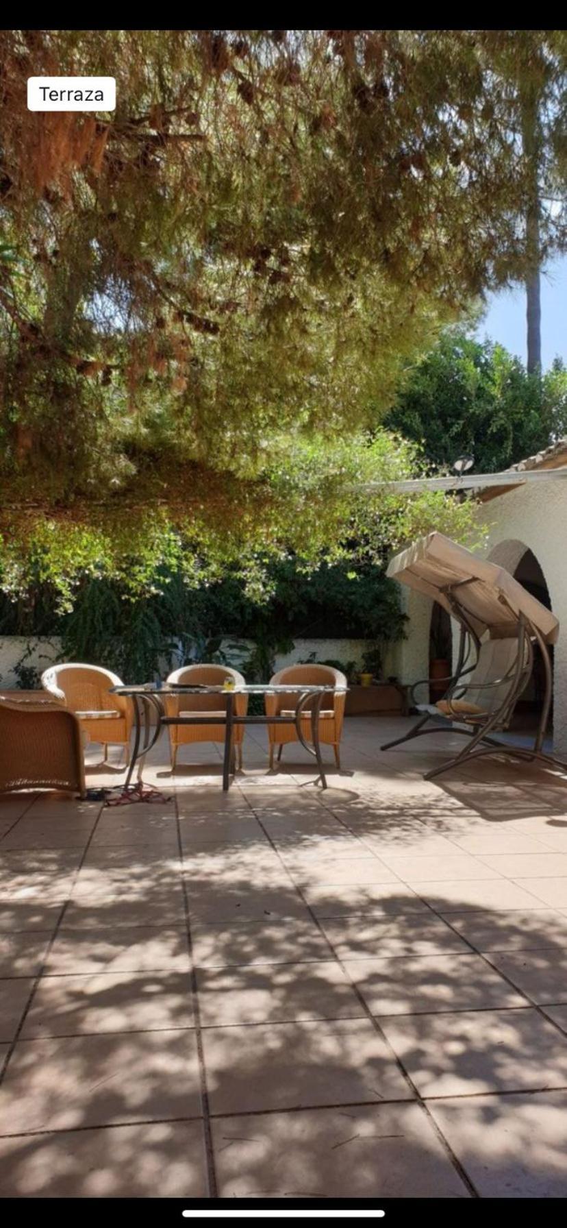 Pink Lemon House Bed and Breakfast Elche Eksteriør billede
