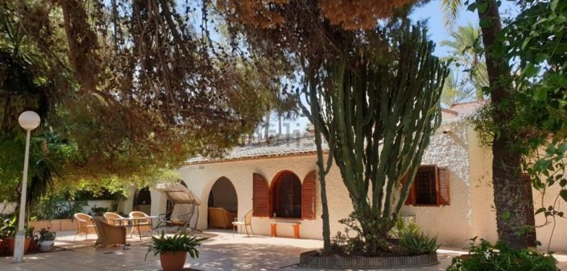 Pink Lemon House Bed and Breakfast Elche Eksteriør billede