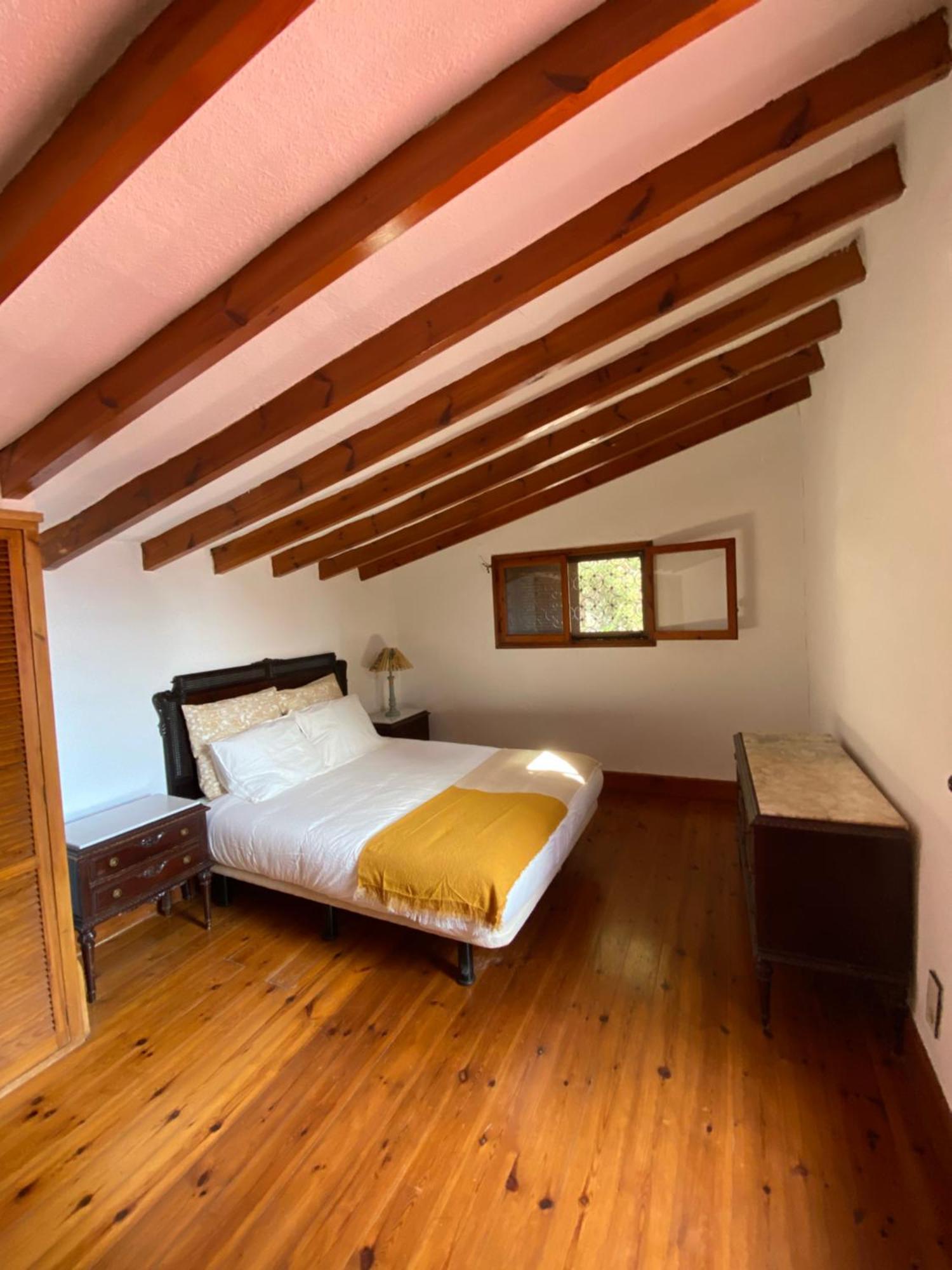 Pink Lemon House Bed and Breakfast Elche Eksteriør billede
